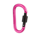 D-Ring Carabiner Clip Hook Keychain Screw Locking - Rose Red