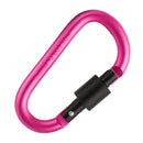 D-Ring Carabiner Clip Hook Keychain Screw Locking - Rose Red