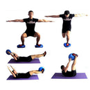 Men Women Yoga Fitness Training Equipment Balance Board Disc Gym Stability Air Cushion Wobble Pad Physio With Pump Purple