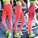 Professionals Yoga Running Gym Fitness Sportswear High Elastic Stretchable Waist Pants Leggings For Women Girls Orange L