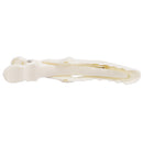Women Girls Fashionable Hair Styling Tools Hairpin Single Prong Plastic Alligator Hair Clips Women Hairpins Barrette Pack of 6PCS White