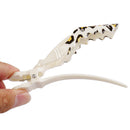 Women Girls Fashionable Hair Styling Tools Hairpin Single Prong Plastic Alligator Hair Clips Women Hairpins Barrette Pack of 5PCS Leopard Print Charms