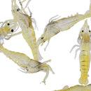 Soft Plastic Prawn Shrimp Lure Baits Simulation Fishing Lures Yellow - Pack of 10 - Length 4cm