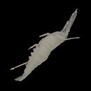 Pack of 5 Luminous Plastic Simulation Soft Shrimp Fishing Lures Baits Smell Tackle with Hook