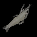 Pack of 5 Luminous Plastic Simulation Soft Shrimp Fishing Lures Baits Smell Tackle with Hook