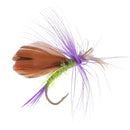 12Pcs /Set Fly Butterfly Artificial Baits with Hooks Colorful Feather Dry Trout Fly Fishing Lures