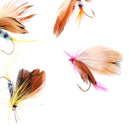 12 Pcs Dry Trout Fly Fishing Flies Topwater Fishing Lures Hooks