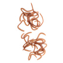 Smelly Flavored Soft Plastics Earthworm Fishing Lures with Box