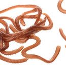 Smelly Flavored Soft Plastics Earthworm Fishing Lures with Box