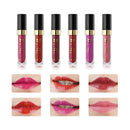 12Pcs Girl Women Matte Gloss-Matte Lip Gloss Pigment Makeup Comestic Lip Gloss