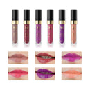 12Pcs Girl Women Matte Gloss-Matte Lip Gloss Pigment Makeup Comestic Lip Gloss