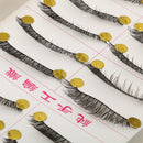 10 Pairs Popular Messy Cross False Eyelashes Soft Long Eye Lashes