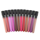 Bulk 12 Colors Sexy Matte Waterproof Makeup Lipstick Liquid Pencil Gloss Set