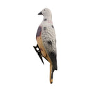 Professional 3D Pigeon Decoy Full Body Decoying Hunting Shooting Decoying Outdoor Garden
