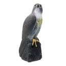Lifelike 3D Eagle Hunting Decoy - Bird Pigeon Scarer Scarecrow