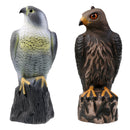 Lifelike 3D Eagle Hunting Decoy - Bird Pigeon Scarer Scarecrow