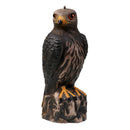Lifelike 3D Eagle Hunting Decoy - Bird Scarer Scarecrow - Brown