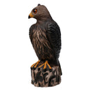 Lifelike 3D Eagle Hunting Decoy - Bird Scarer Scarecrow - Brown