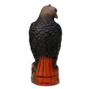 Lifelike 3D Eagle Hunting Decoy - Bird Scarer Scarecrow - Brown