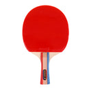 Lightweight 7 Layer Wood Table Tennis Bat Paddle Long Handle Shake Hand Grips Racket Sports Accessories