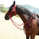 Horse Size Adjustable PVC Horse Halter Bridle Combo With Horse Rein Red