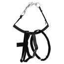 Technical Scuba Diving Diver BCD Stage Bottle Side Mount Carry Strap Bolt Snap Clip Rigging Kit Accessories for 18 cu ft Tank