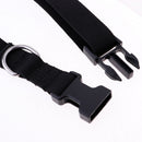 Scuba Diving Webbing Waist Belt With Buckle with Stainless Steel D Ring and Quick Release Buckle Safety Gear Equipment