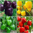 Egrow 50Pcs/Bag Mixed Red Yellow Green Pepper Seeds Colorful Sweet Pepper Seeds Mix Bell Peppers