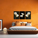 Miico Hand Painted Three Combination Decorative Paintings Botanic White Flower Wall Art For Home Decoration