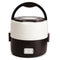 Electric 1.0L 200W Mini Portable Lunch Rice Cooker Home Dormitory Office Steamer Pot Heating Rice 2 Layer