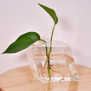 Wall-mounted Rhombus Glass Flower Vase Home Garden Wedding Party Decoration