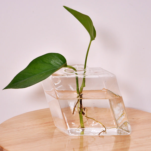 Wall-mounted Rhombus Glass Flower Vase Home Garden Wedding Party Decoration