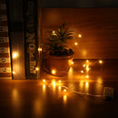 LUSTREON DC3V Warm White Yellow 2M Silver Wire Turn On LED String Light for Christmas Holiday Vase Decor