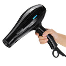 4200 Power Portable Dog Cat Pet Groomming Blow Hair Dryer Professional