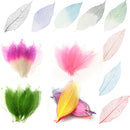 50x Natural Magnolia Skeleton Leaf Leaves Card Scrapbook Craft Supplies Green+White