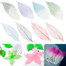 50x Natural Magnolia Skeleton Leaf Leaves Card Scrapbook Craft Supplies Green+White