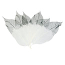 50pcs Natural Magnolia Skeleton Leaves Leaf Scrapbook Craft Supply Black+White
