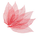 50x Natural Magnolia Skeleton Leaf Leaves Card Scrapbooking Craft Supply Red