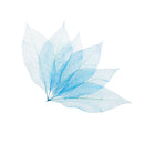 50pcs Natural Magnolia Skeleton Leaf Leaves Card Scrapbooking Craft Supply Blue