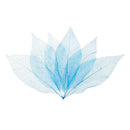 50pcs Natural Magnolia Skeleton Leaf Leaves Card Scrapbooking Craft Supply Blue