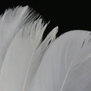 Women's Feather Hair Clips Wedding Party DIY Hair Accessory White