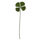 Pack of 12 Real Pressed Leaves Flower For Card Making & Floral Arranging DIY