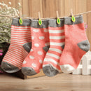 Baby Boy Girl Combed Cotton Charming Attractive Stripe Socks Pink XS PACK OF 8PCS