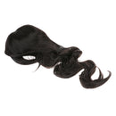 New Fashion Womens Lady Long Curly Wavy Full Wigs Cosplay Party Lolita Black