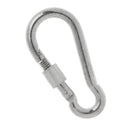 Screw Lock D Shape Carabiner Hook Keyring Clips Camping Outdoor Accessories Buckle
