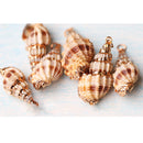 Gilding Gold Beach Conch Shell Beads Pendants for Jewelry Making Crafts
