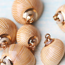Gilding Gold Beach Conch Shell Beads Pendants for Jewelry Making Crafts