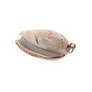 Gilding Gold Beach Conch Shell Beads Pendants for Jewelry Making Crafts