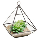 Glass Pyramid Shape Clear Tabletop Succulent Plant Terrarium Box Hanging Planter Flower Fern Moss Pot