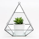Glass Pyramid Shape Clear Tabletop Succulent Plant Terrarium Box Hanging Planter Flower Fern Moss Pot